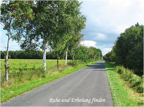 Erholen und Entspannen in der Natur Ostfrieslands, unweit der Ferienwohnung, etwas abseits der Nordsee.