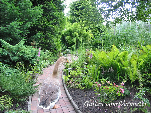 Garten am Haus Garten am Haus