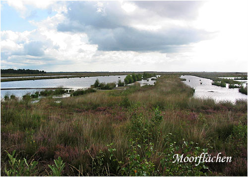 Moorflächen in Ostfriesland