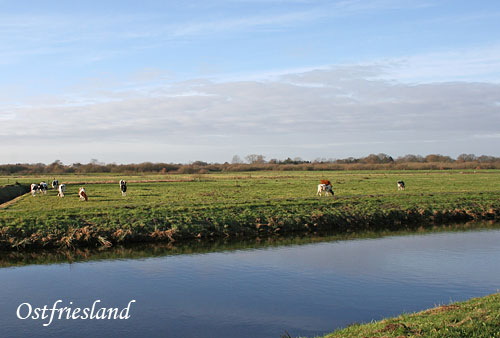 Ostfriesland Radtouren spezial.