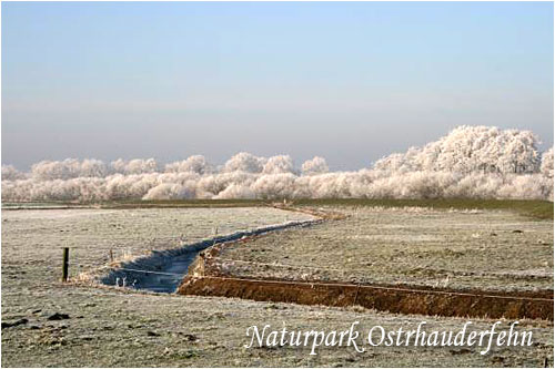 Winter an der roten Riede.